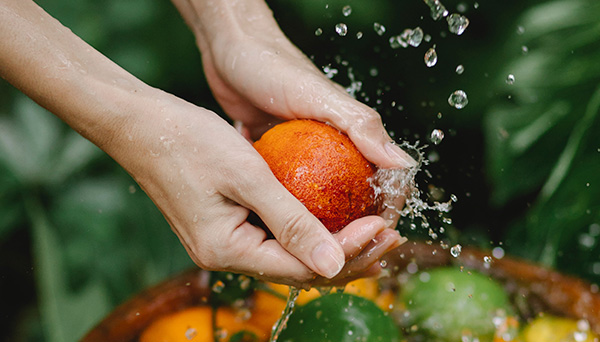 curso de manipulador de alimentos